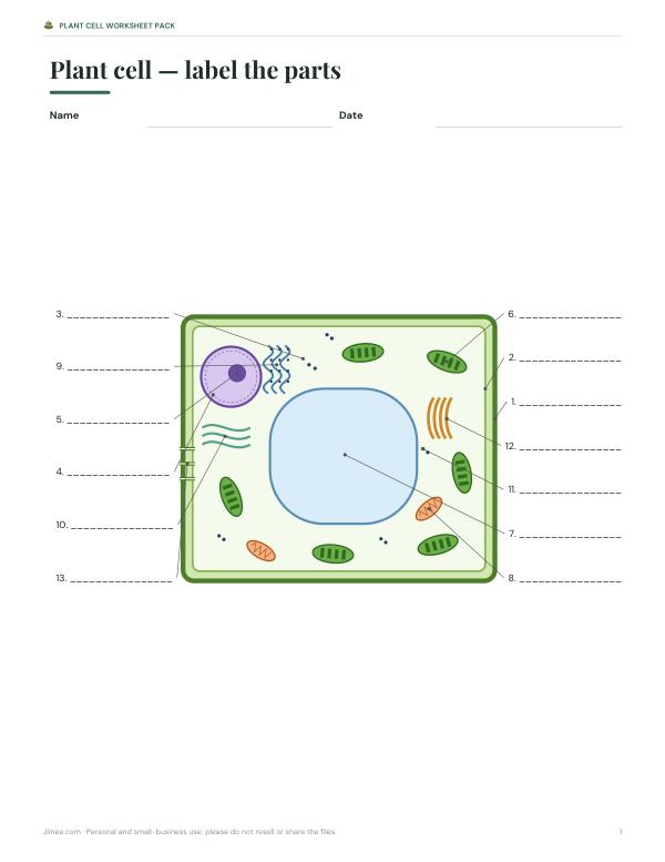 Preview of Printable Plant Cell Labeling Diagram